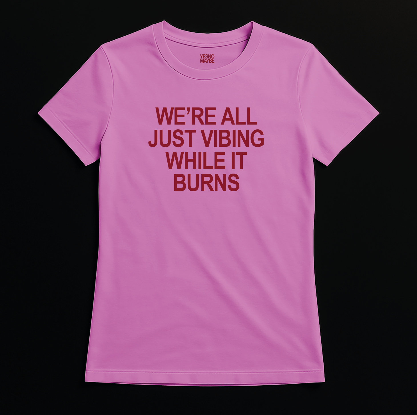 We're All Just Vibing while it burns - Fitted